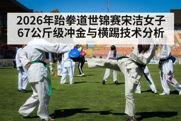 taekwondo kick competition